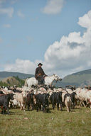 A Journey Through the Seasons of the Nomadic Lifestyle