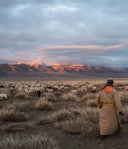 Herder in traditional coat watching goats on the steppe, source of Mongolian cashmere, mountains at dusk