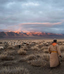 Why Cashmere Is So Important to Mongolia