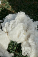 Cashmere Vs Pashmina: Know The Difference