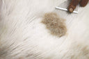 Mongolian Noble Fiber