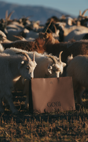 <h4>45 Years of GOBI | 45% Off to Celebrate</h4>