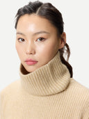 Women's Cashmere Sweater with Detachable Collar Beige worn by model, detail view on white background