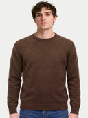 Model wearing the Cashmere Fine Crewneck Sweater in Dark Brown, front view