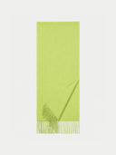 Flat lay of the Cashmere Fringed Scarf in Green.