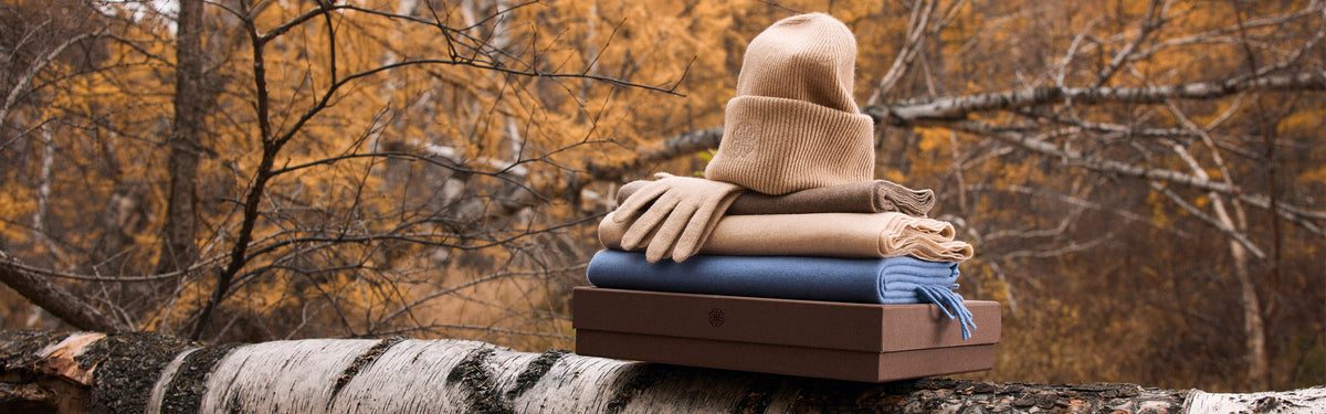 Camel ribbed cashmere beanie and gloves on folded cashmere scarves and a gift box, set on a birch log in an autumn larch forest