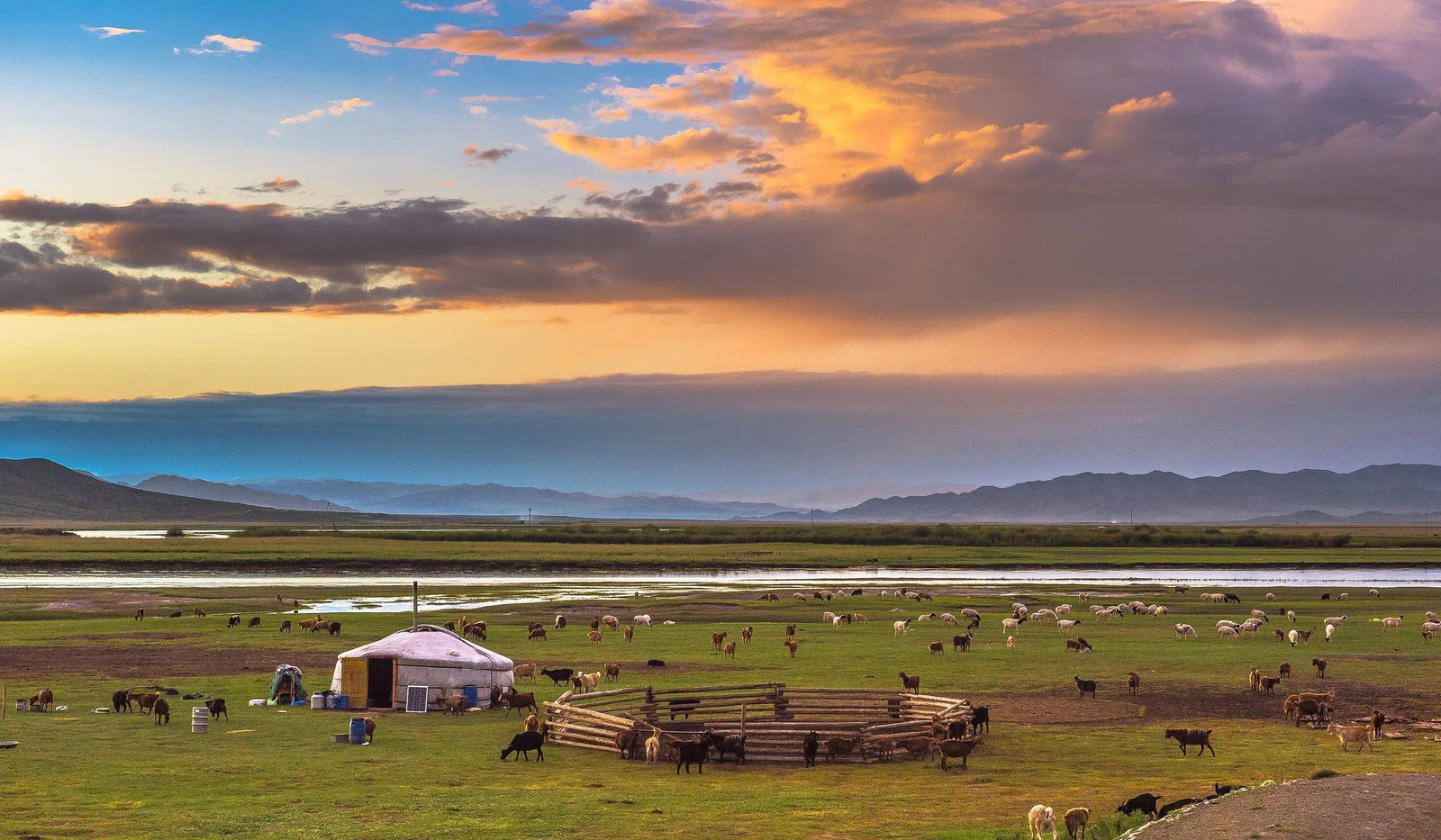 A ger and goat pens on the Mongolian steppe at sunset