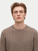 A man wearing a taupe cable-knit crewneck sweater, photographed from the chest up against a light gray studio background.
