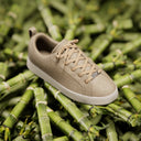 A beige CashmereTech sneaker resting on a bed of green bamboo stalks