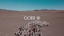 Short film: cashmere goats crossing the Gobi desert, the GOBI logo, a knitting machine and women in GOBI cashmere knitwear